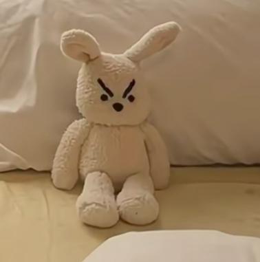 Bunny plush, looking super angry, but beeing cute in the process